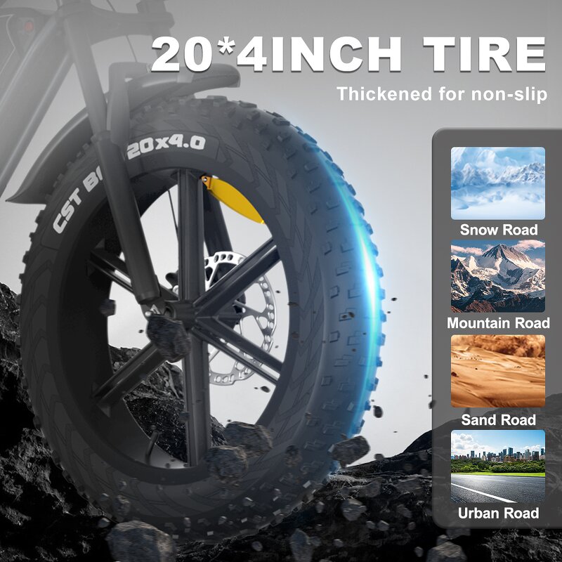 Fat Tire Mountain Bike Factory - OEM 48V14AH 750W Off-Road