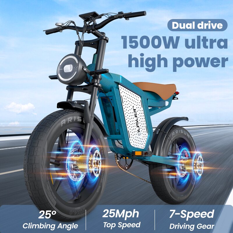Off-Road Ebike Manufacturer - OEM 1500W 48V Dual Drive Fat Tire