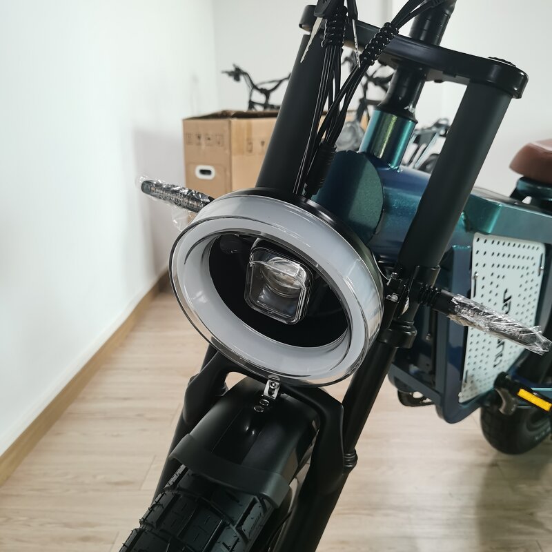 Electric Mountain Bike Manufacturer - OEM High End 1500W 48V