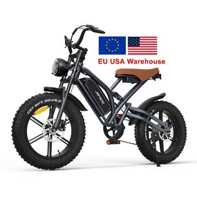Electric Mountain Bicycle Manufacturer - OEM 2024 750W 48V 7 Speed