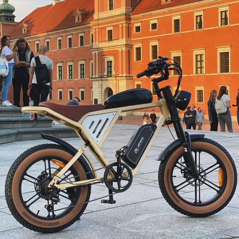 Electric Mountain Bike Factory - OEM Dual Battery 48V34AH 750W