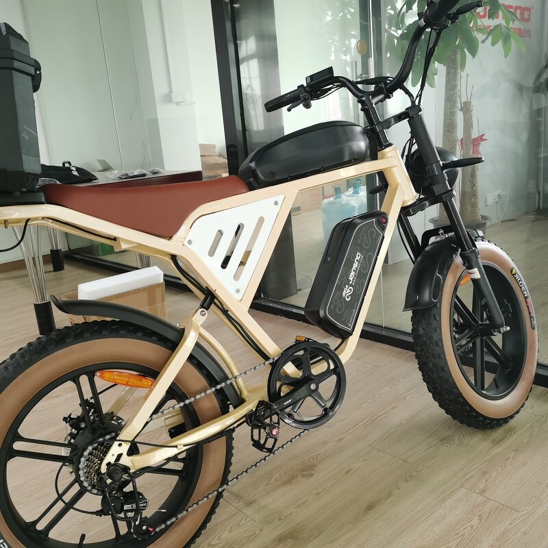 Electric Mountain Bike Factory - OEM Dual Battery 48V34AH 750W