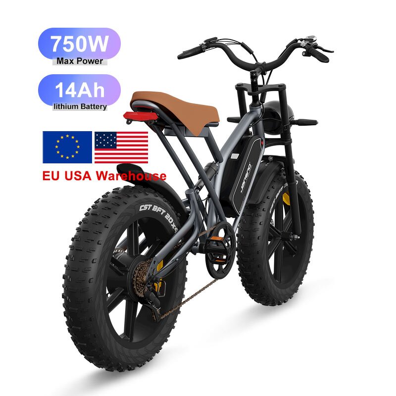 Electric Bicycle Manufacturer - OEM 2024 750W 48V Outdoor Fat Tire