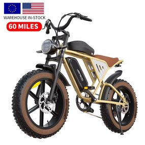 Electric Bicycle Factory - OEM 48V Dual Suspension Removable Battery