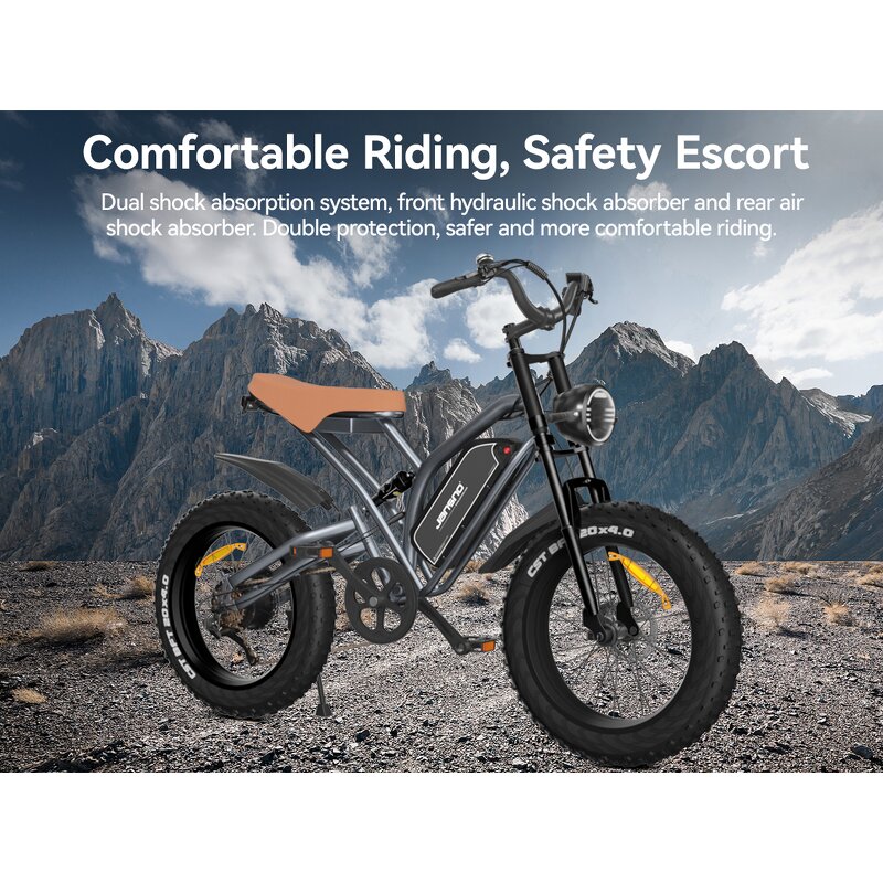 Electric Cycles Factory - OEM EU US Warehouse Pedal Assist