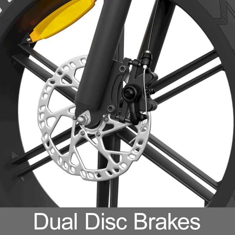 Electric Mountain Bike Factory - OEM Dual Battery 48V34AH 750W