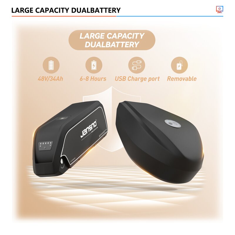 E-bike Factory - OEM 750w 1000w Dual Removable Batteries City