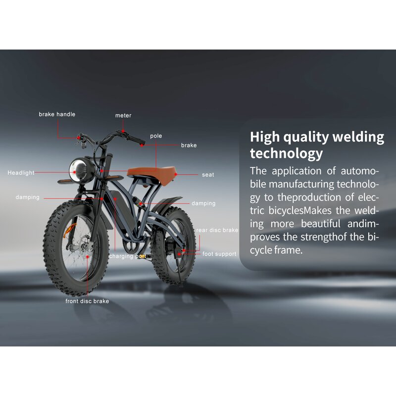 Electric Cycles Factory - OEM EU US Warehouse Pedal Assist