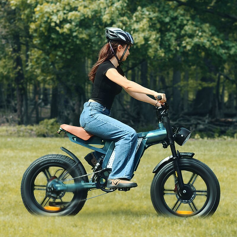 Off-Road Ebike Manufacturer - OEM 1500W 48V Dual Drive Fat Tire
