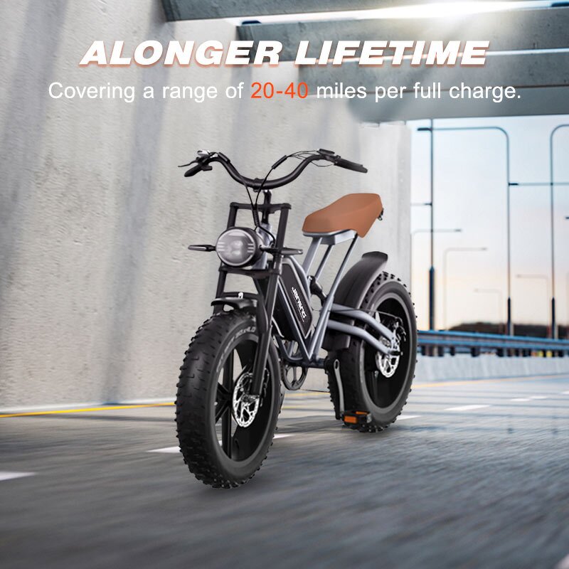 Electric Bicycle Manufacturer - OEM 2024 750W 48V Outdoor Fat Tire