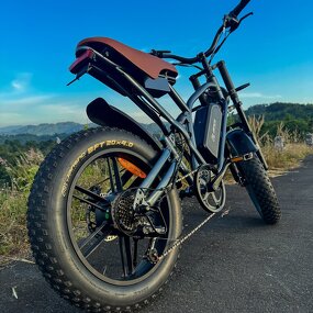 E-MTB Electric Bike Manufacturer - OEM 48V 750W Lithium Steel