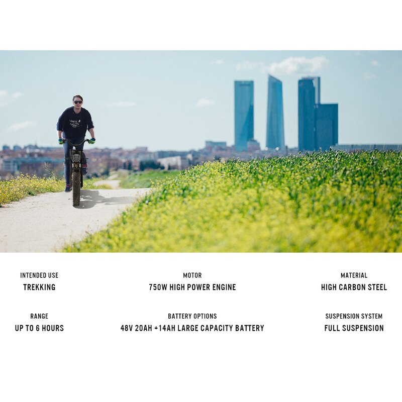 Electric Bike Manufacturer - OEM USA EU Warehouse 750w 1000w