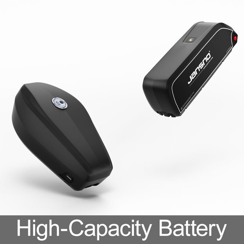 Electric Mountain Bike Factory - OEM Dual Battery 48V34AH 750W