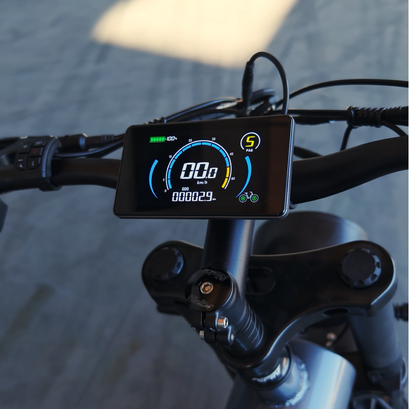 Dual Motor Electric Bike Manufacturer - OEM 48V23AH Fat Tire