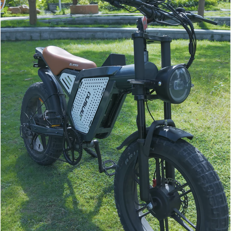 Dual Motor E-Bike Factory - OEM 1500W 48V All Terrain Fat Tire