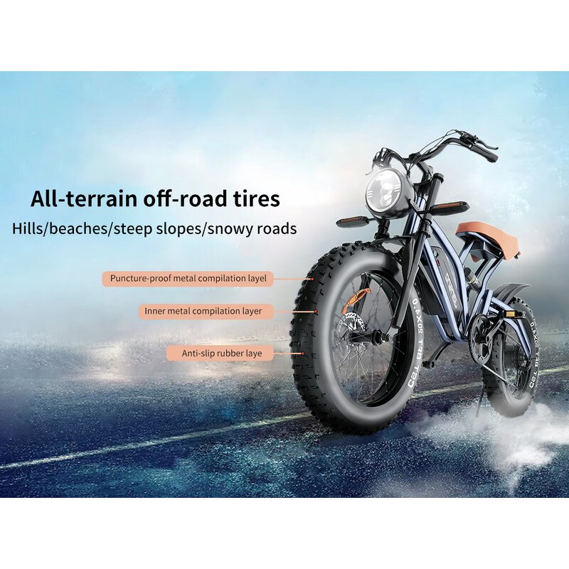 Electric Cycles Factory - OEM EU US Warehouse Pedal Assist