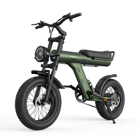 Electric Bicycle Factory - OEM 48V Fat Tire 750W City Bike