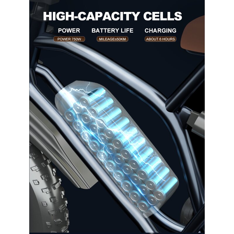 Ladies Ebike Manufacturer - OEM 750W Long Range Fat Tire Sensor