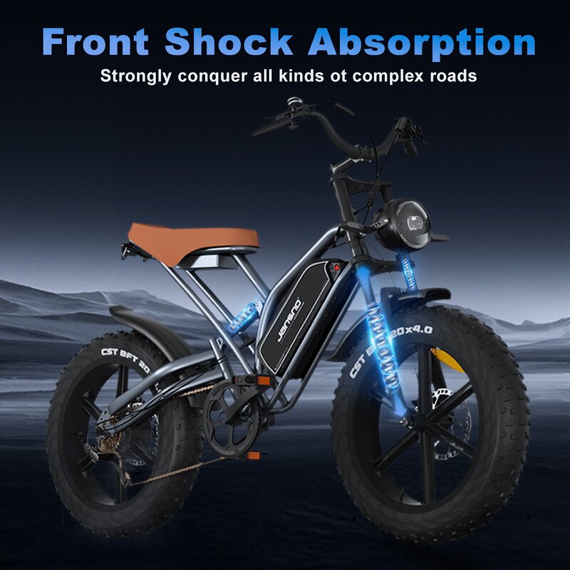 Fat Tire Mountain Bike Factory - OEM 48V14AH 750W Off-Road