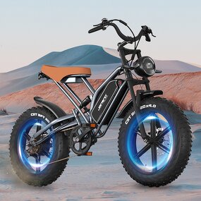 Fat Tire Mountain Bike Factory - OEM 48V14AH 750W Off-Road