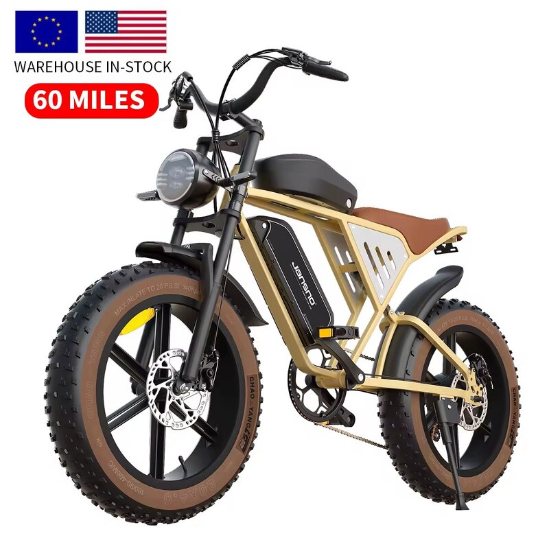 Electric Cargo Bike Factory - OEM 750W 34ah Dual Battery 26 Inch