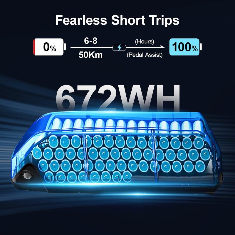 Electric Mountain Bike Manufacturer - OEM 750W 48V14AH Fat Tire