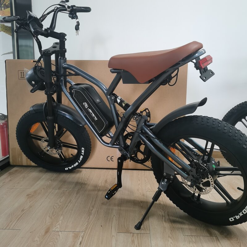 Second-hand Ebike Manufacturer - OEM 750W 48V 14AH Fat Tire