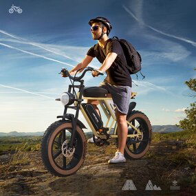 Electric Mountain Bike Manufacturer - OEM 750W 48V Dual Battery