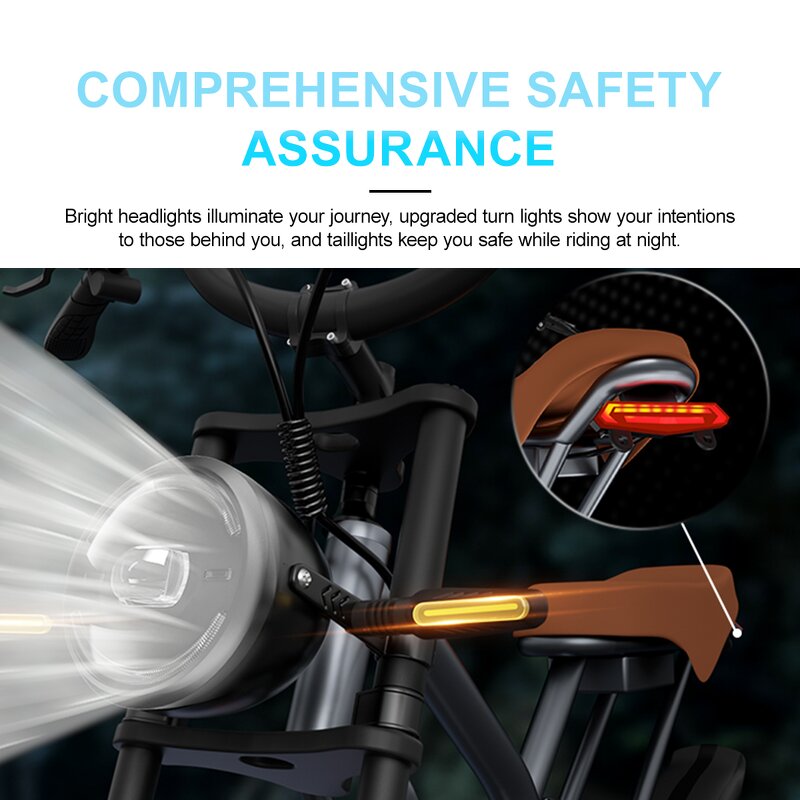 Hybrid Electric Bike Manufacturer - OEM 750W 48V14AH Disc Brake