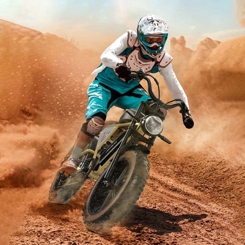 Dual Suspension Ebike Manufacturer - OEM 34AH Removable Dual Battery