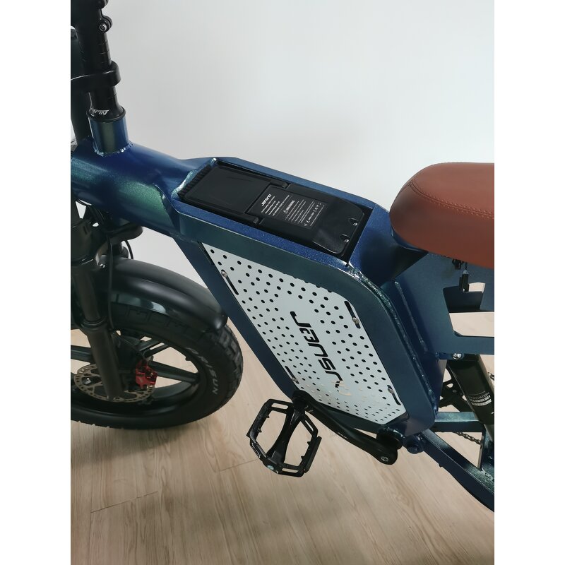 Long Range Ebike Factory - OEM 2024 1500W 48V Steel Fat Tire