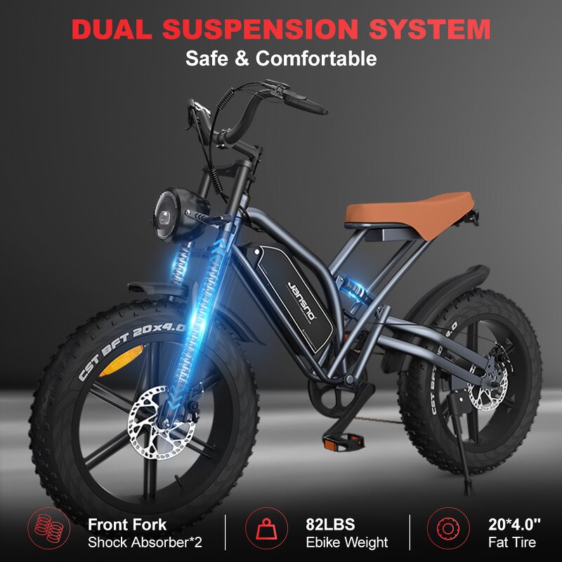 Electric MTB Manufacturer - OEM 750W 48V14AH High Power Fat Tire