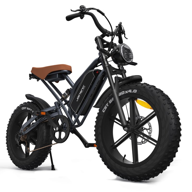 Portable Ebike Manufacturer - OEM Full Suspension 7 Speed 20 Inch