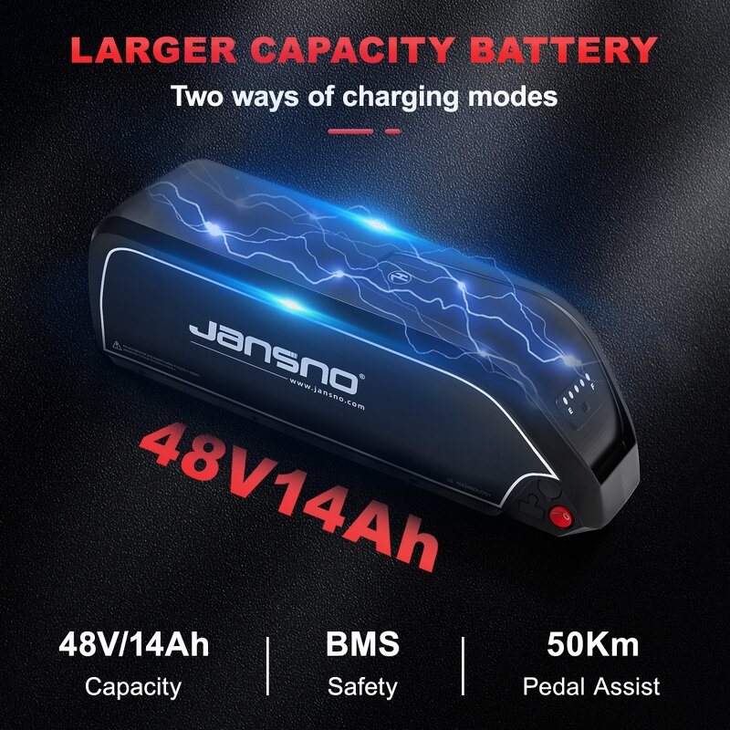 Electric MTB Manufacturer - OEM 750W 48V14AH High Power Fat Tire