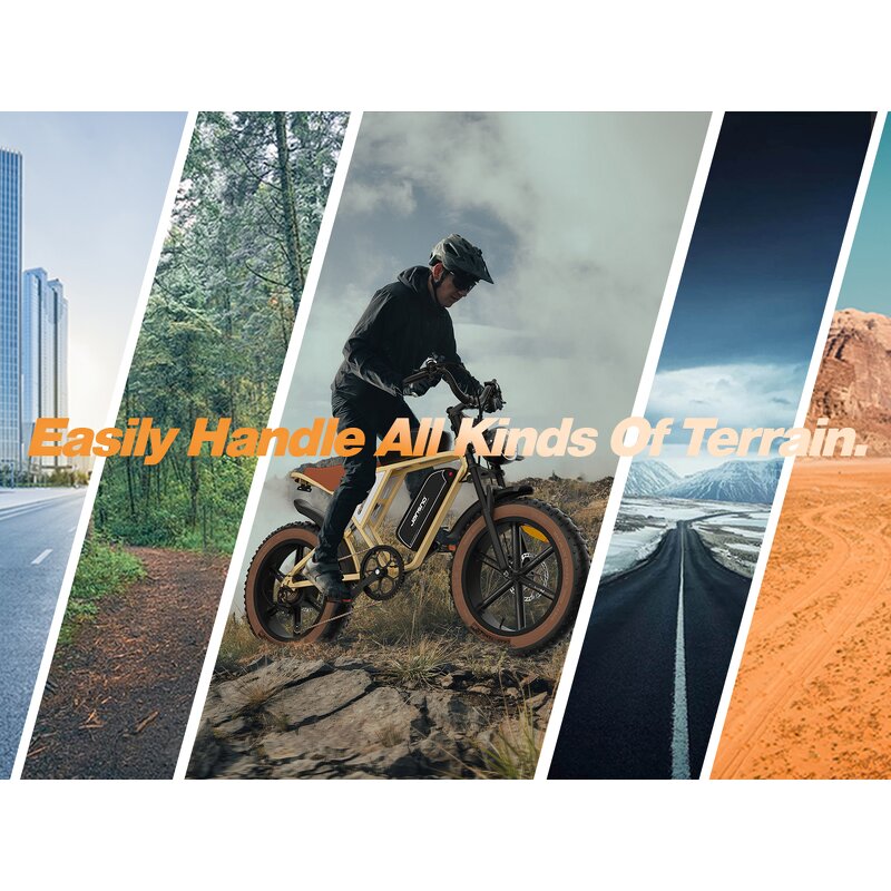 Electric Cargo Bike Manufacturer - OEM 1000w 20 Inch Fat Tire 48V