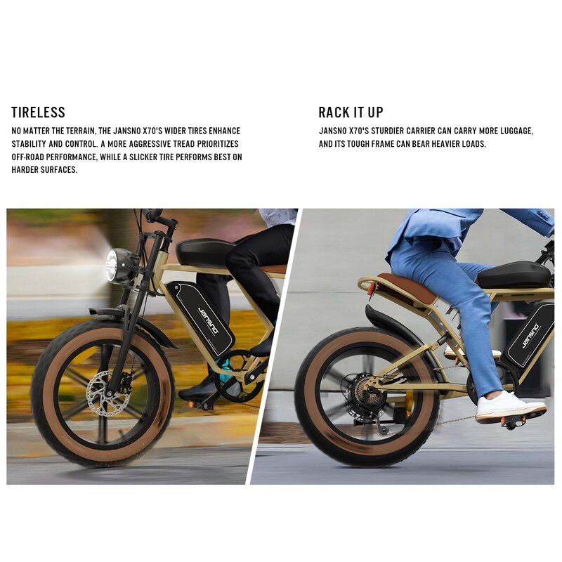 Ebike Factory - OEM Removable Dual Battery Long Range 750w