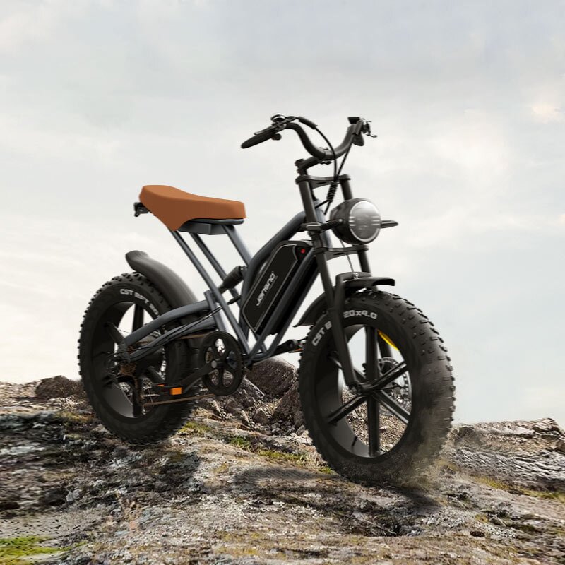 Electric Cycles Factory - OEM EU US Warehouse Pedal Assist