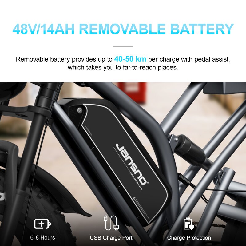 Hybrid Electric Bike Manufacturer - OEM 750W 48V14AH Disc Brake