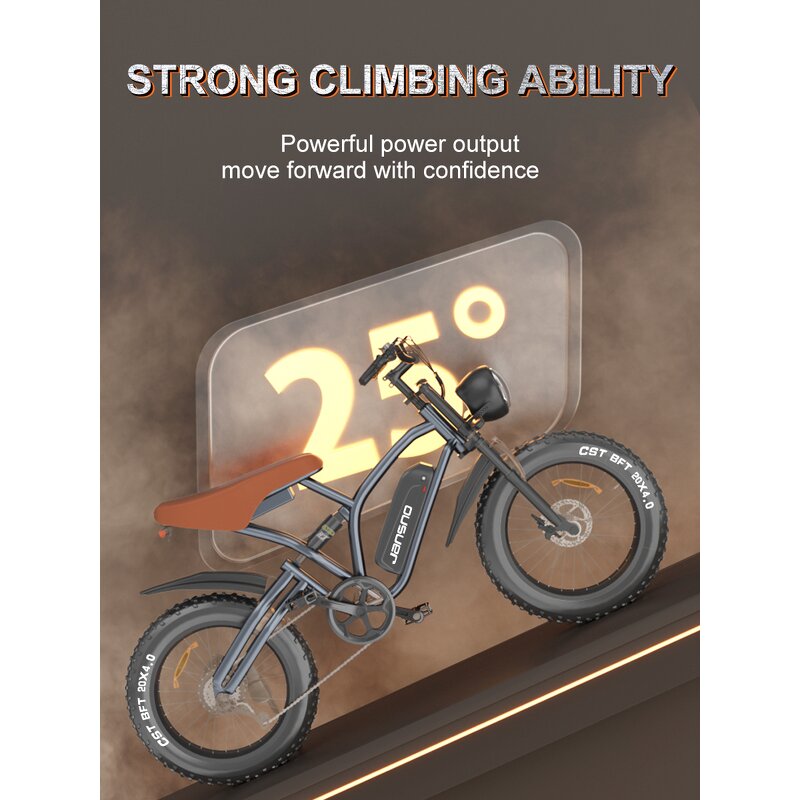 Electric Mountain Bike Factory - OEM Hot Sale Removable Battery