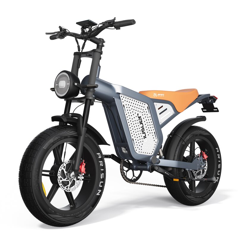 Dual Motor Electric Bike Manufacturer - OEM 48V23AH Fat Tire