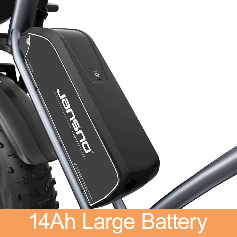 Electric Bicycle Factory - OEM 48V 750W Hybrid Mountain Fat Tire