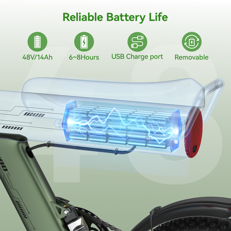 Electric Bicycle Factory - OEM 48V Fat Tire 750W City Bike