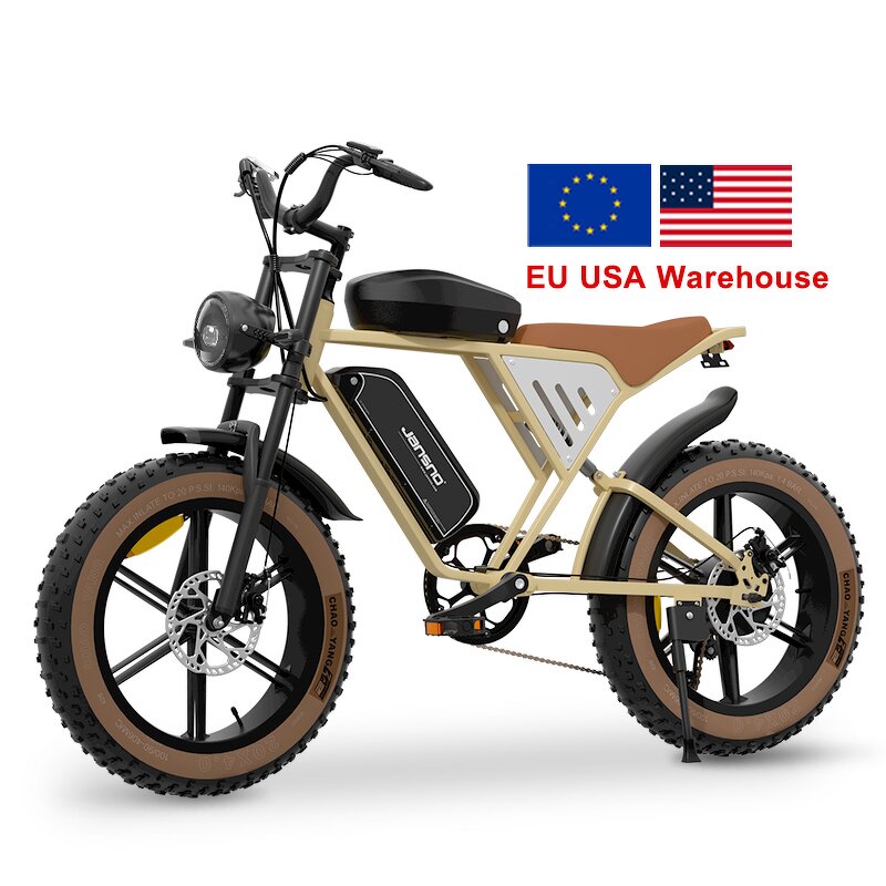 Electric Mountain Bike Factory - OEM Dual Battery 48V34AH 750W