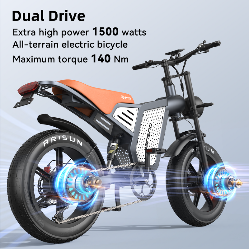 Fat Tire Ebike Factory - OEM 48V23AH Aluminum Alloy Dual Motor