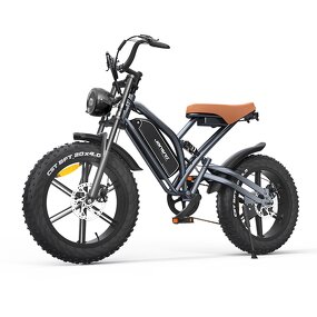 Electric Mountain Bike Manufacturer - OEM 750W 48V14AH Fat Tire