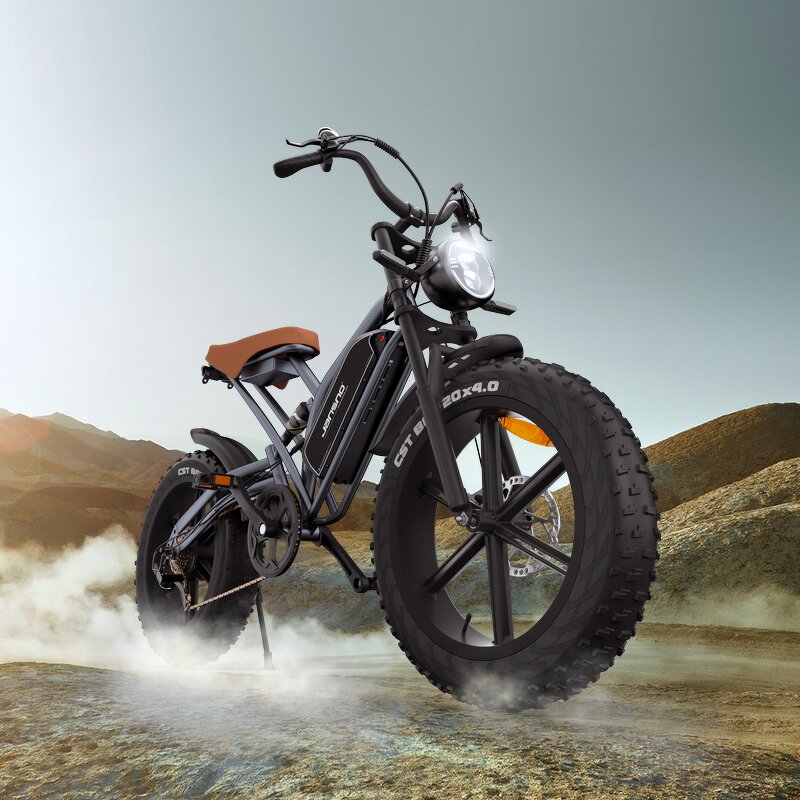 Women Electric Bikes Manufacturer - OEM USA EU Warehouse Fast