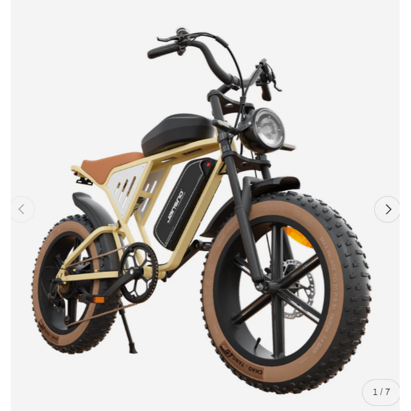 Fat Tire Electric Bike Manufacturer - OEM 750w Dual Batteries 48V