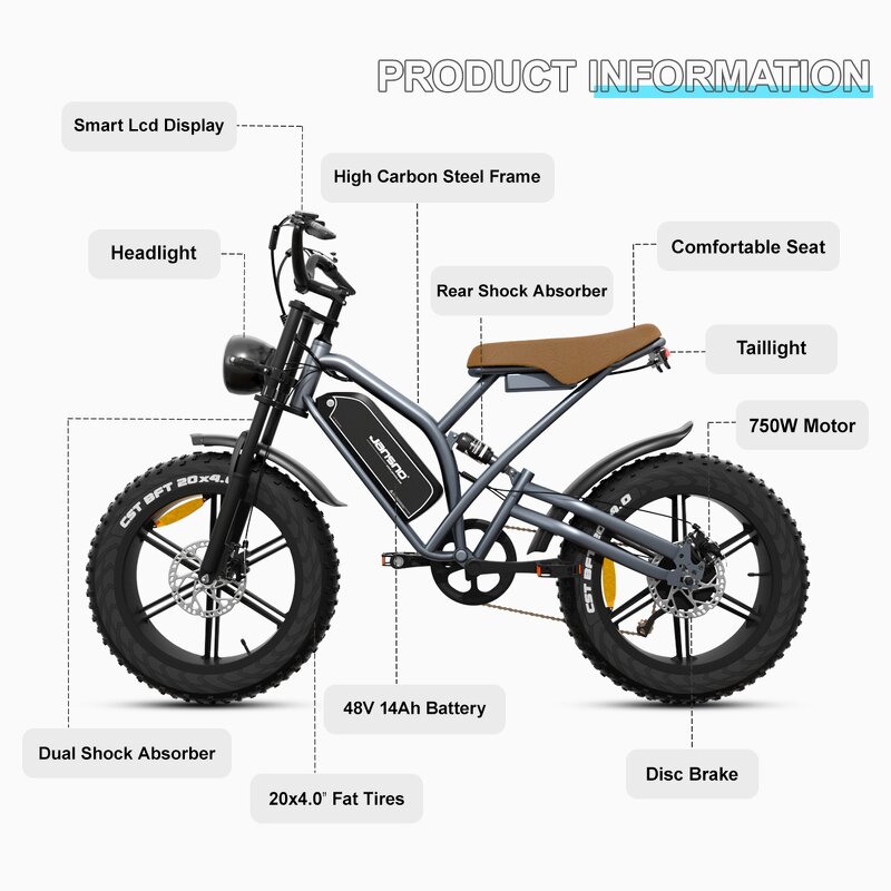Fat Tire E-Bike Factory - OEM 48V 750W 14AH MTB Cycle