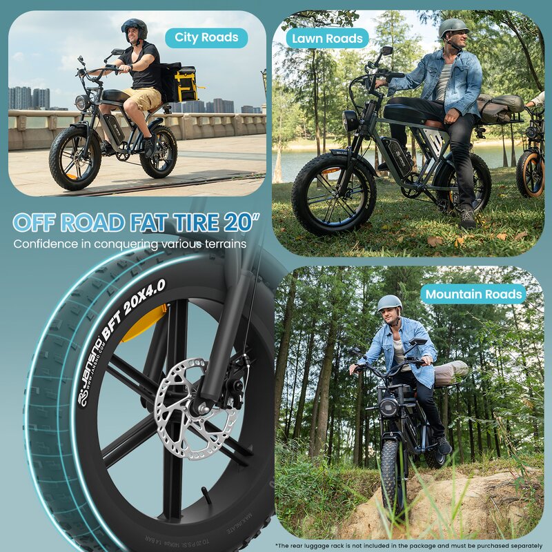 Electric Bicycle Factory - OEM 48V 750W Hybrid Mountain Fat Tire