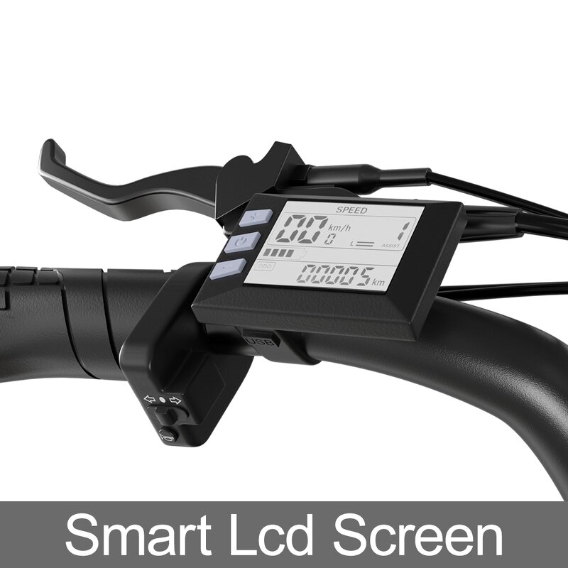 Fat Tire Electric Bike Manufacturer - OEM 48V34AH Dual Battery 750W